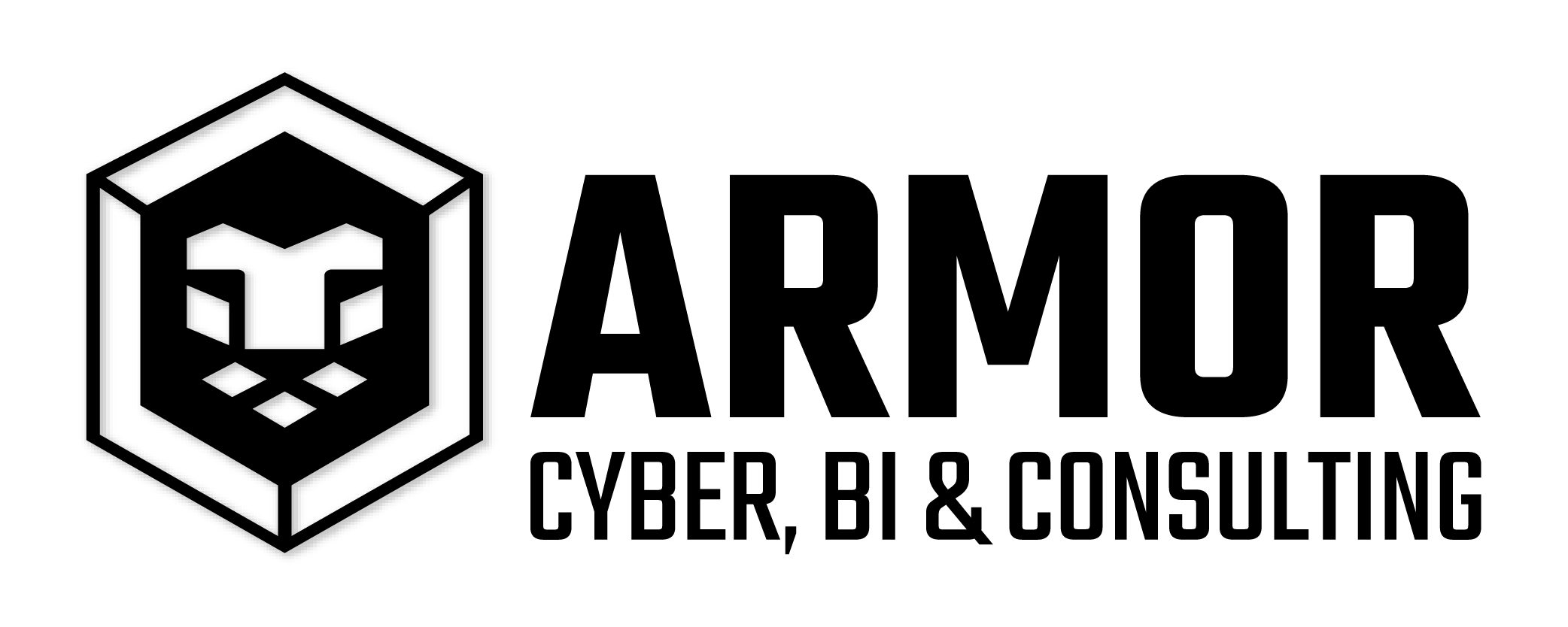 Armor Cyber Security LTD logo